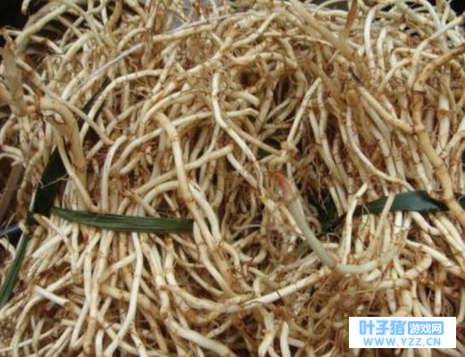 ������Ҫ��ֻʣ����4����ʳ����һ���ĸ�