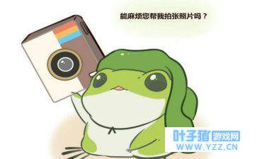 难道明星的蛙不一样?盘点形态迥异的旅行青