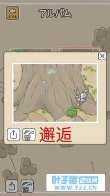 旅行青蛙:“蛙儿子”出走一周,回来后我决