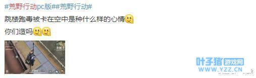 荒野行动趣事汇第十八期: 玩家呐喊放我下去