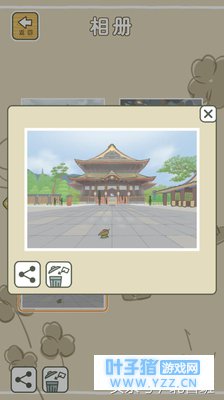 养了两只旅行青蛙,给我发好多明信片了,听