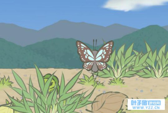 �����������ѵ�һ�ݰ����������գ����ѣ���