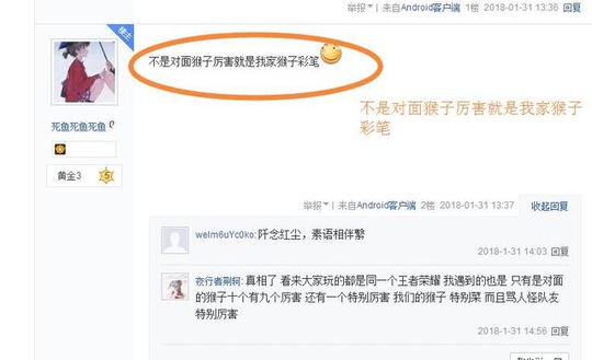 王者荣耀:玩家又爱又恨的英雄,最后这一个