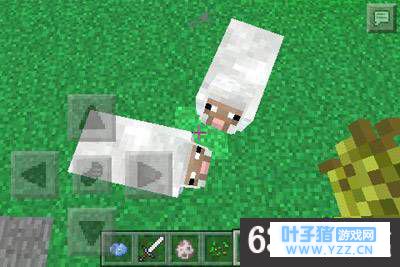 我的世界羊毛获得方法 我的世界羊毛怎么获