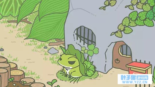 你的“蛙”回家了吗?别再等TA回家啦!因为