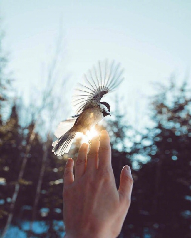 �����е�ĳЩ�ɺϱ�˲���¼ ʵ����̫������