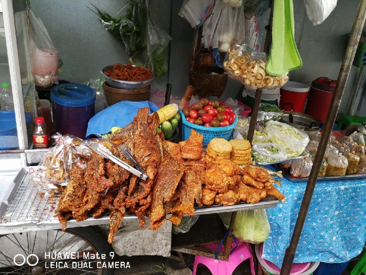 ��˵����