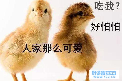 萝卜青菜各有所爱,而我,选择吃鸡