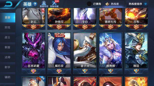 王者荣耀:玩家2500场游戏刷出5个满熟练英