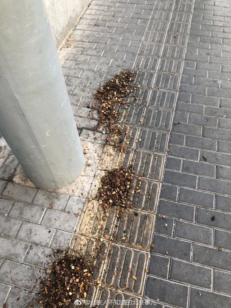 ��˵����