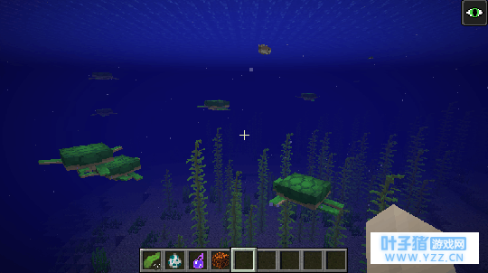 我的世界: 新版本海龟加入游戏, 水域大更新