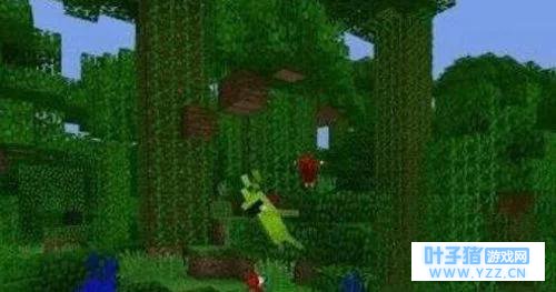 �ҵ����������?�ҵ�������Ϸ��ѱ�����ķ�