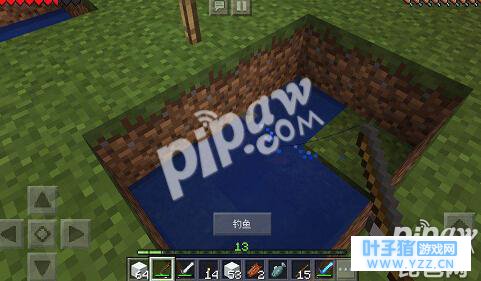 我的世界怎么驯服鱼 可不可以自己养鱼