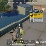 刺激战场冷知识,看完之后就吃鸡!