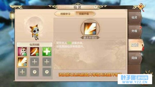 细节决定成败 如何培养宠物才能轻松提升