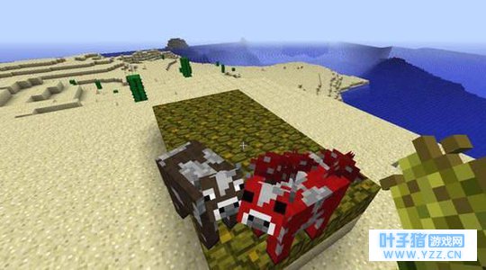 ���ҵ����硷����׺��Ĺ��� ʵ��ȫ��ս5��