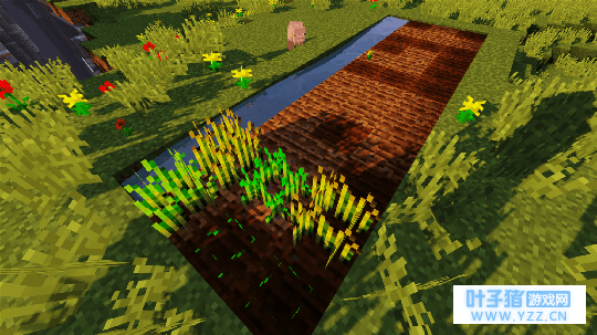 �̵��ڡ��ҵ����硷���������, ����ʵȴ��