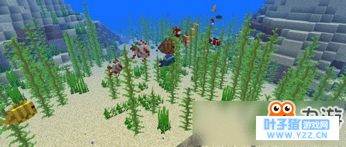 《我的世界》18w10b新版本发布 死珊瑚方块