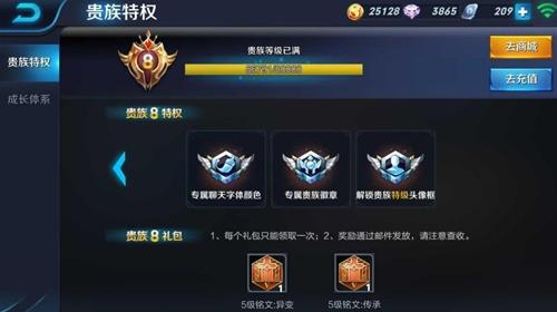 王者荣耀中隐藏贵族标志的几大理由,看看你