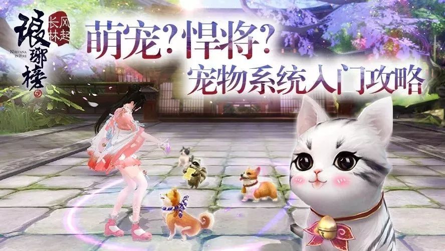 跟我一同攻略,可爱却暗藏玄机的TA们!