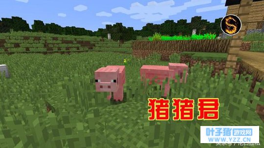 《我的世界》里选出一个生物带走,我毫不犹