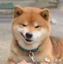 王者荣耀:体验服17日更新,刘备孙尚香等再