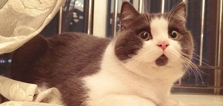 ������ҫ������ЩӢ��ǧ��ҪͶ�������ڴ�