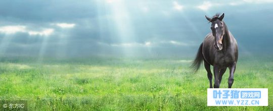 大马小马:2018年二月不能做的事,关系到整