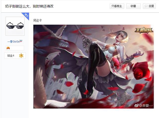 王者荣耀玩家爆出一张英雄海报,网友:这是