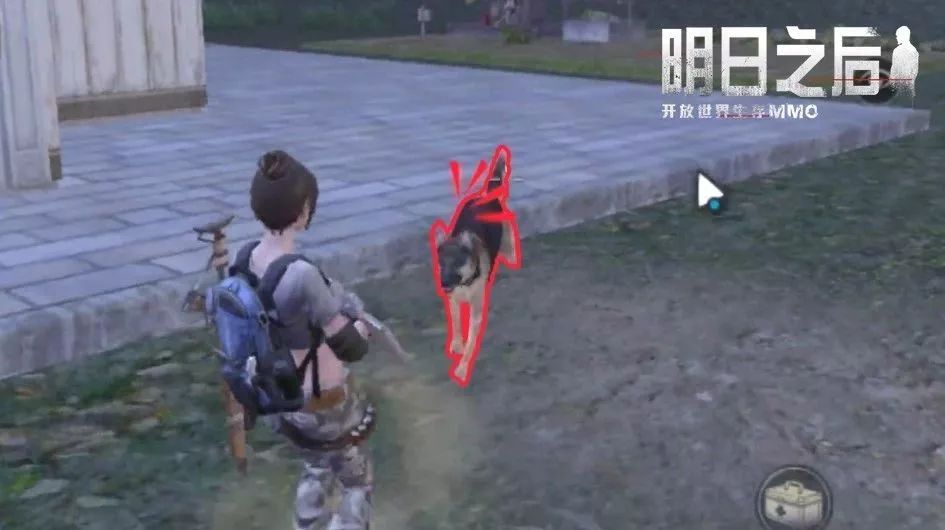 打call回馈!这一次我们来爆料一下家门口的