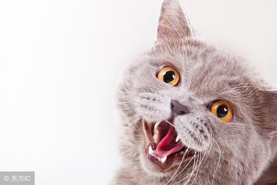 王者荣耀:这三个英雄居然因为太弱降价了?