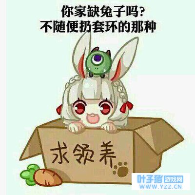 《决战平安京调教手册》今天,我山小兔就要