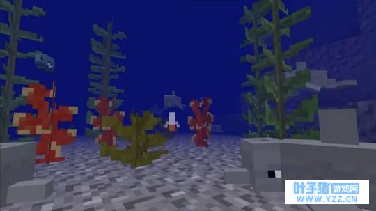 《我的世界》奇妙的水族馆更新, 一起建造一