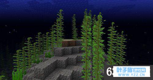 6399:我的世界海带有什么用途 我的世界海