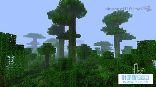 我的世界:从未见过这么奇葩的出生点!老玩