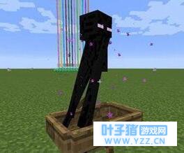 我的世界冷知识分享 我的世界有哪些冷知识