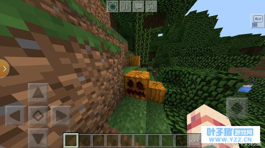 我的世界中南瓜的作用,这个应该没有人不知