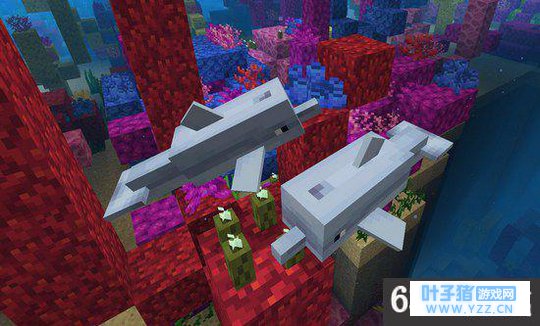 6399:我的世界手机版海豚能不能乘骑 我的