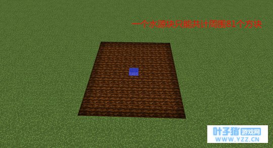 《我的世界》一个水源可以种多少田?整个世