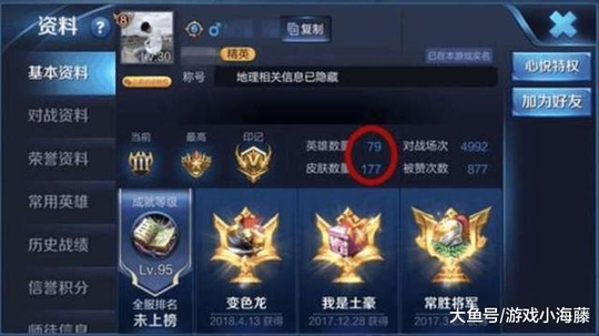 王者荣耀玩家贪小便宜, 花500块买全皮肤账