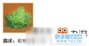 ����֮ҹ����Ͷ������ȫ���� Ͷ�����߽�ѧ