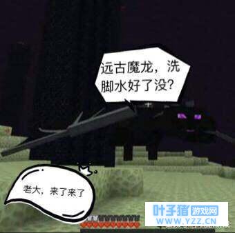 我的世界:如果我的世界和迷你和好了,迷你