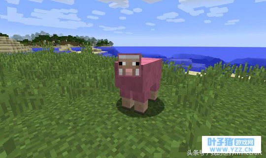 ���ҵ����硷��֪ʶ�ս�ƪ �����������5