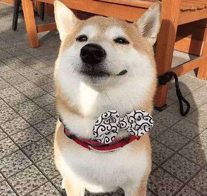 王者荣耀:最新AD一哥即将驾临,现在还不买