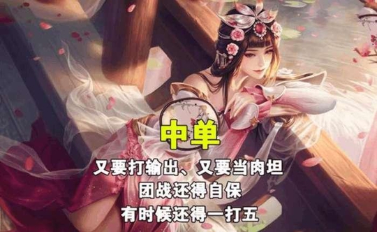 王者荣耀五个位置的独白, 难怪射手是大热门