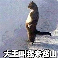 王者荣耀,官方锦标赛优化抢先看,零门槛体