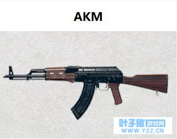 绝地求生中近战神器,精品步枪的性能报表