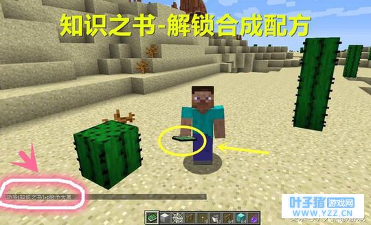 我的世界:生存模式这些物品你永远也拿不到