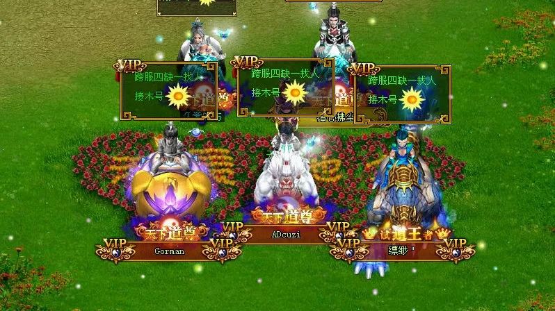 不负重道友所望,两年征战终拿王!