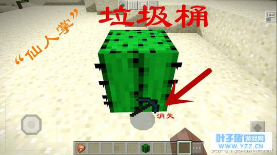 我的世界:关于仙人掌的5个“冷”知识,末
